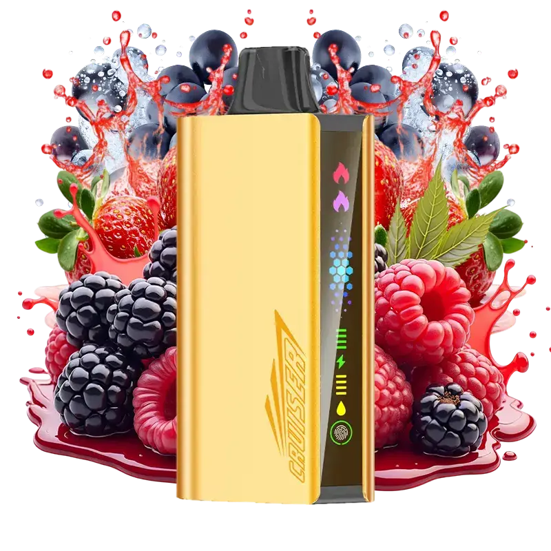 JNR Cruiser Quadruple Berry