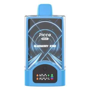 Picco Break 30k Puffs Blueberry